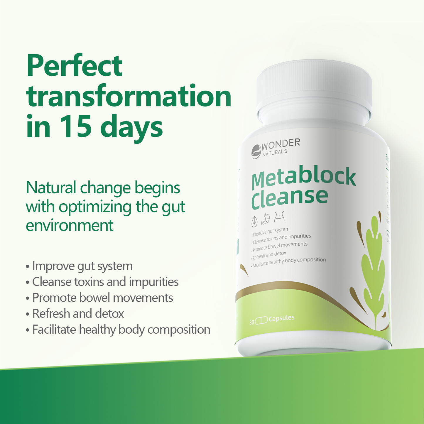 Metablock Cleanse